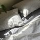 Комплект постільної білизни Ранфорс Grey Leaf 0740 фото 1