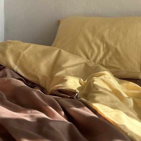 Комплект постільної білизни Сатин Golden Brown 0120 фото
